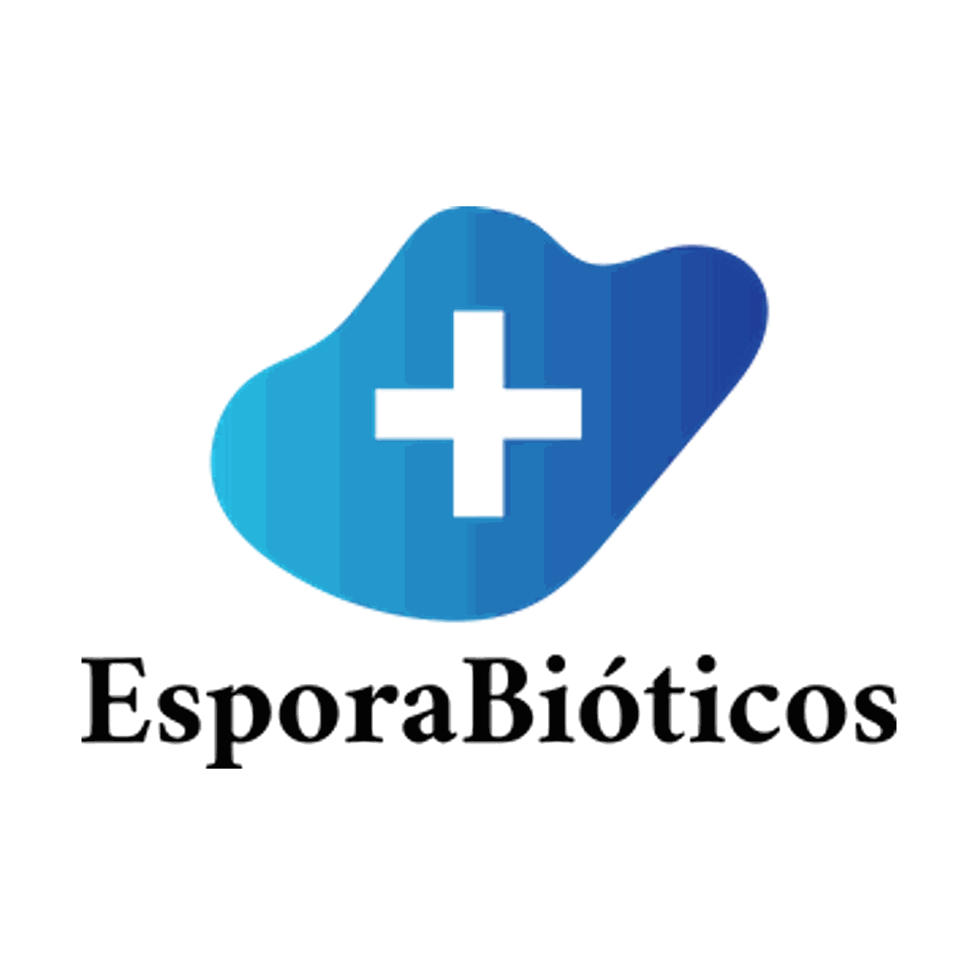 Equipo de la empresa